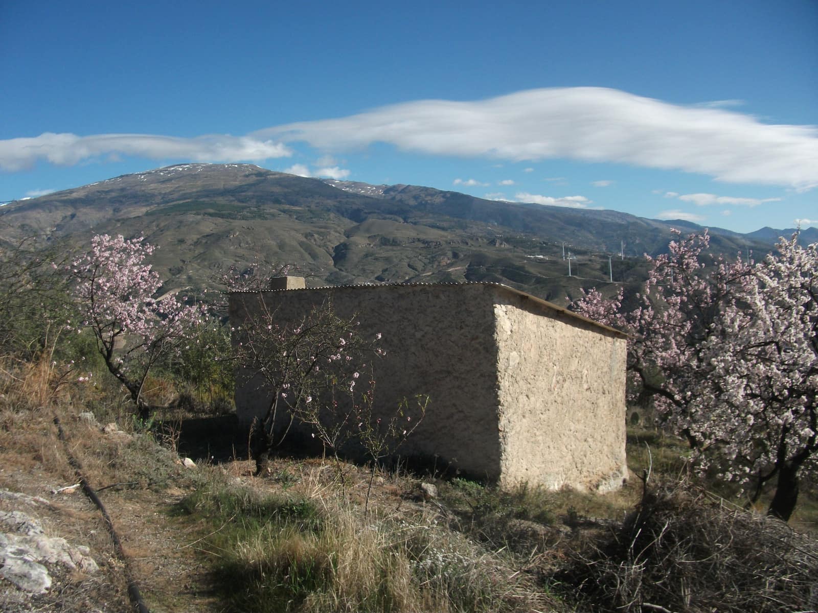 3 soveværelse Finca/Landehus til salg i El Pinar med garage - € 175.000 (Ref: 1059336)