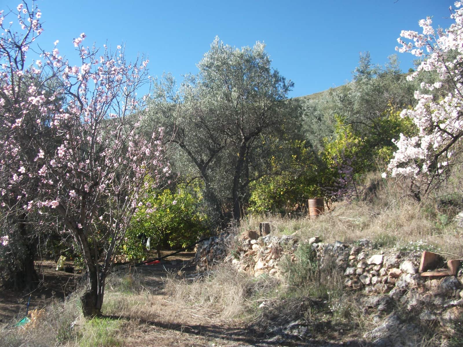 3 soveværelse Finca/Landehus til salg i El Pinar med garage - € 175.000 (Ref: 1059336)