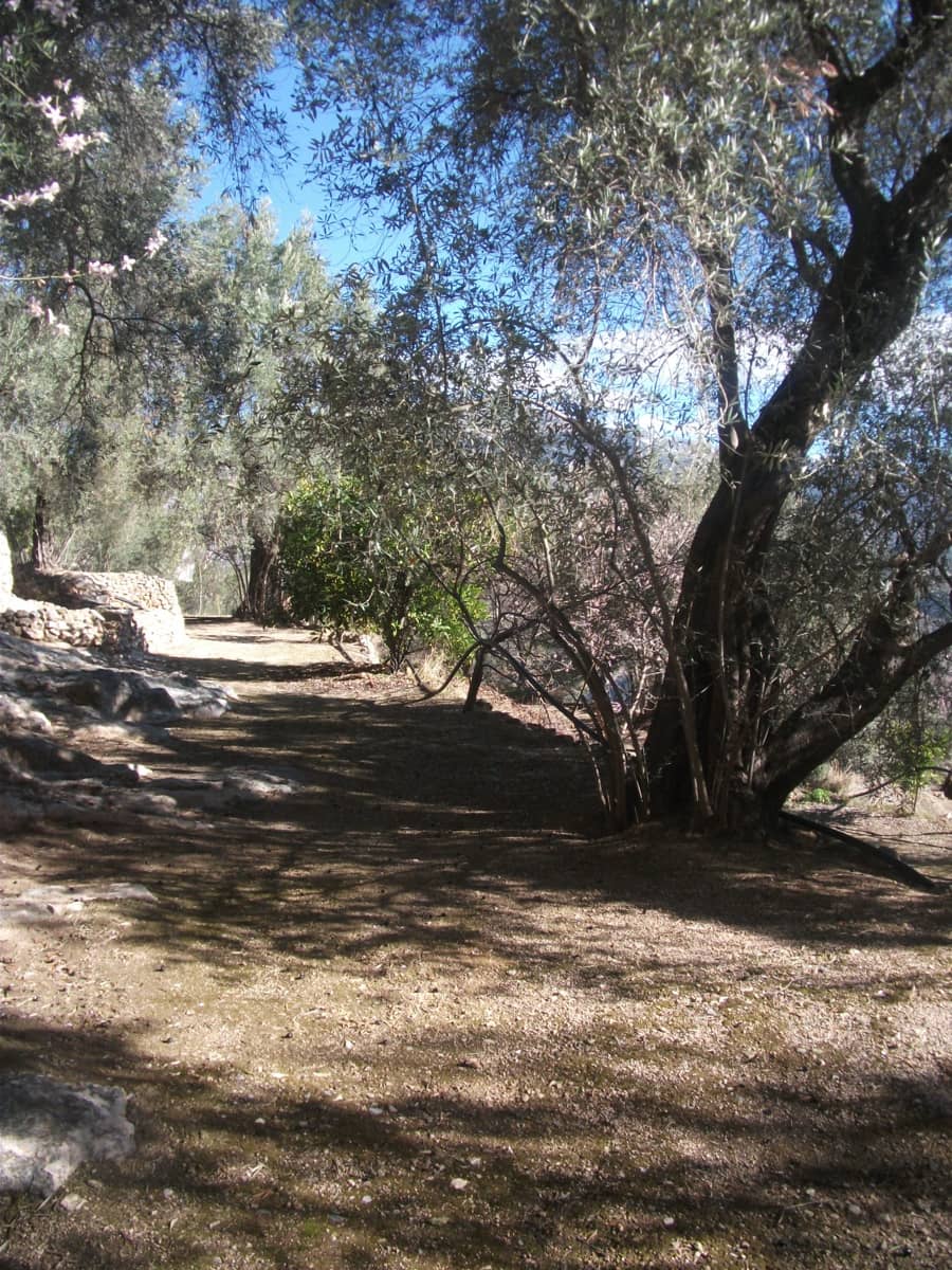 3 soveværelse Finca/Landehus til salg i El Pinar med garage - € 175.000 (Ref: 1059336)