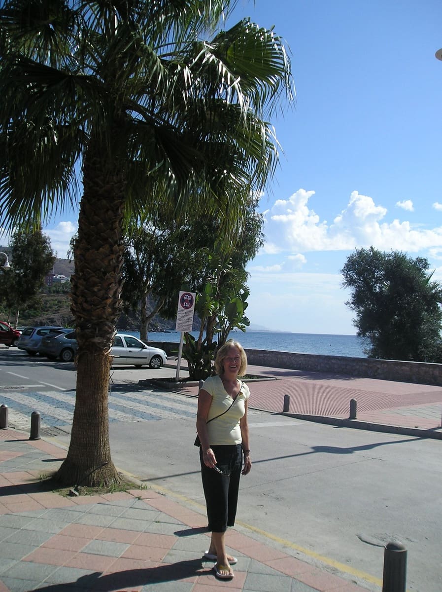   3 soveværelse   ferieLejlighed i Almunecar   med   swimmingpool   - € 150 (Ref: 1059350)