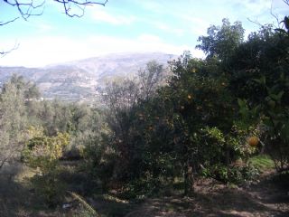 Finca/Landehus til salg i El Pinar - € 60.000 (Ref: 1887832)