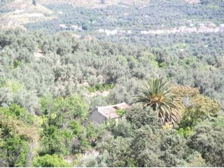 Finca/Landgut zu verkaufen in El Pinar - 60.000 € (Ref: 1887832)