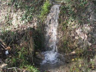 Finca/Landgut zu verkaufen in El Pinar - 60.000 € (Ref: 1887832)