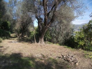 Finca/Landgut zu verkaufen in El Pinar - 60.000 € (Ref: 1887832)