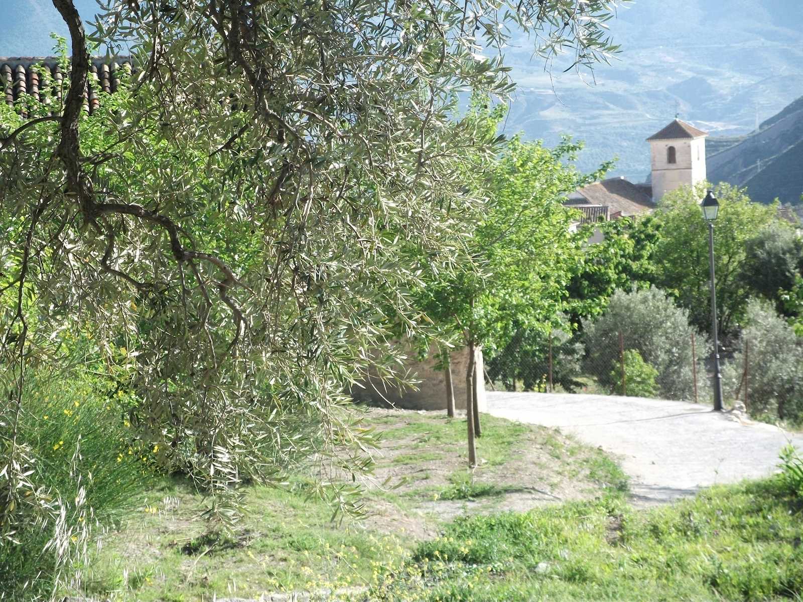 2 camera da letto Appartamento da affitare come casa vacanza in Lecrin con piscina - 150 € (Rif: 2843819)