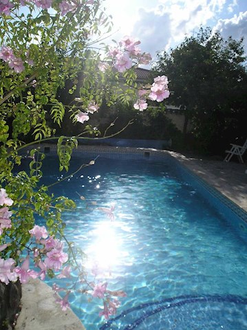 2 quarto Apartamento para arrendamento para férias em Lecrín com piscina - 150 € (Ref: 2843819)