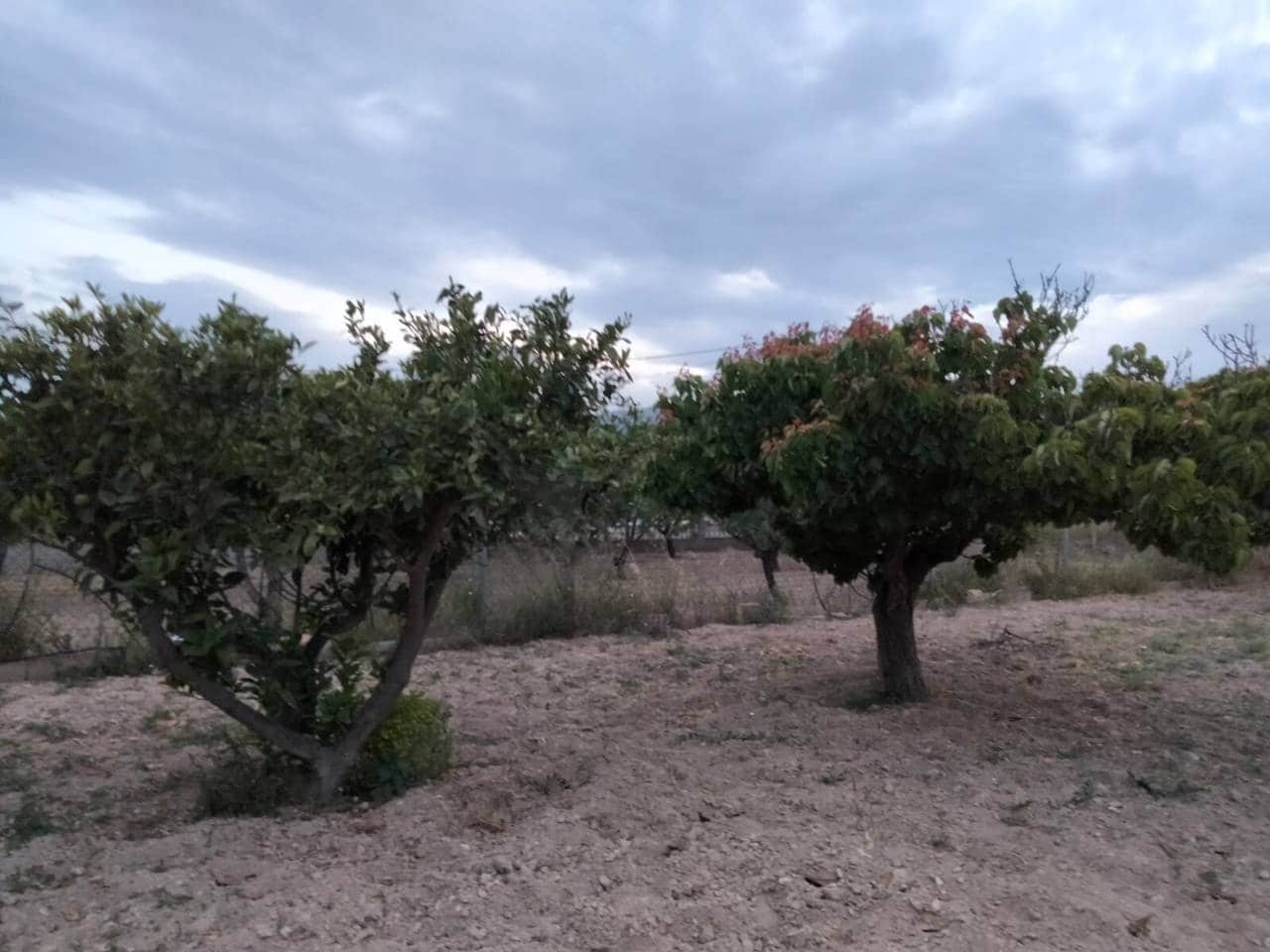 Tontti myytävänä paikassa Calpe / Calp - 280 000 € (Ref: 10048622)