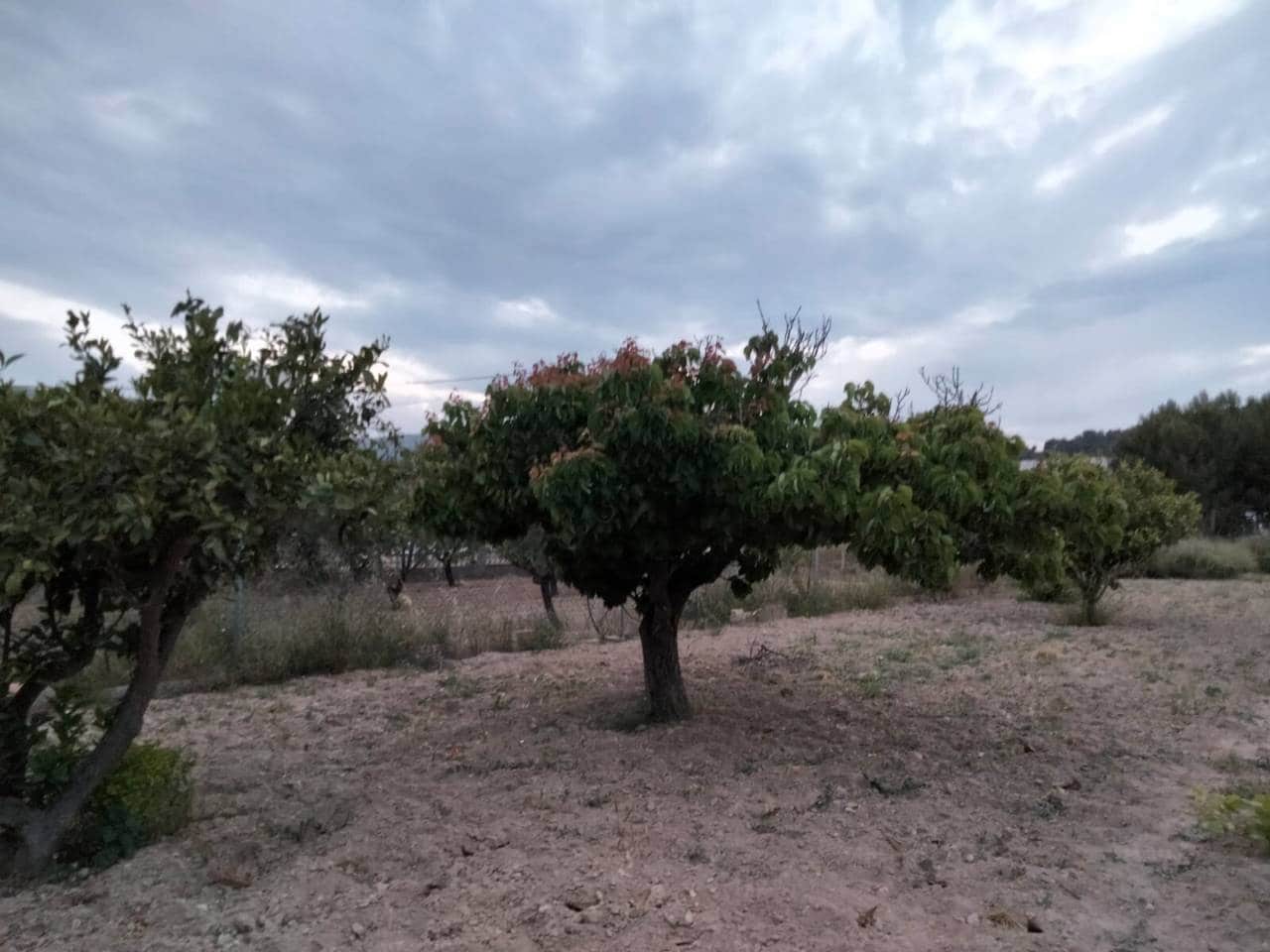 Tontti myytävänä paikassa Calpe / Calp - 280 000 € (Ref: 10048622)