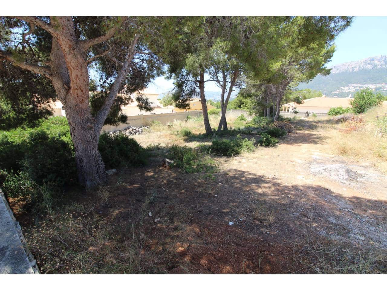 Tontti myytävänä paikassa Calpe / Calp - 210 000 € (Ref: 3735479)