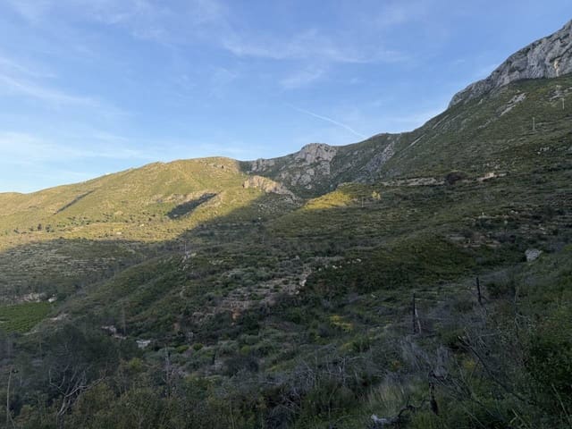 Solar/Parcela en L'Atzúvia en venta - 35.000 € (Ref: 3735532)