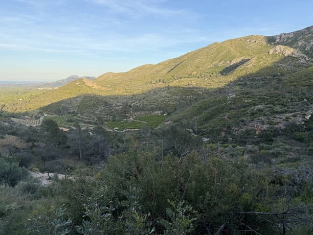 Solar/Parcela en L'Atzúvia en venta - 35.000 € (Ref: 3735532)