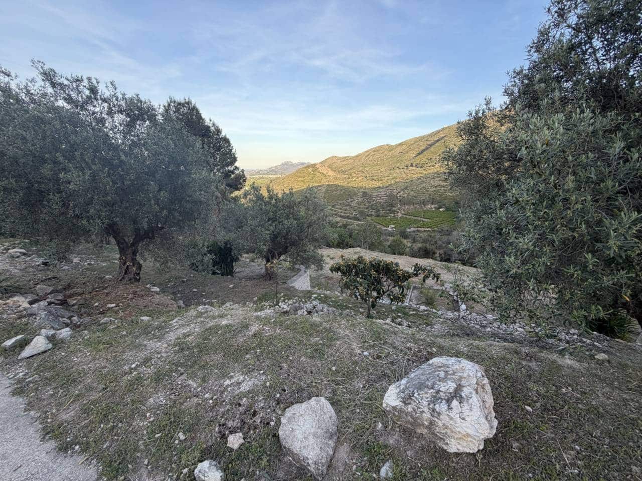 Bouwgrond te koop in L'Atzuvia - € 35.000 (Ref: 3735532)