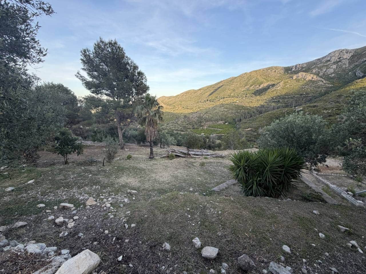 Bouwgrond te koop in L'Atzuvia - € 35.000 (Ref: 3735532)