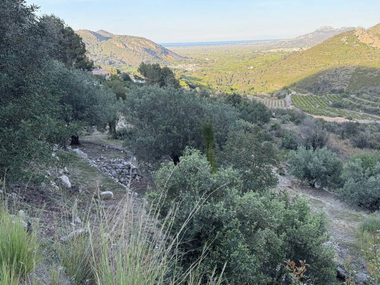 Bouwgrond te koop in L'Atzuvia - € 35.000 (Ref: 3735532)