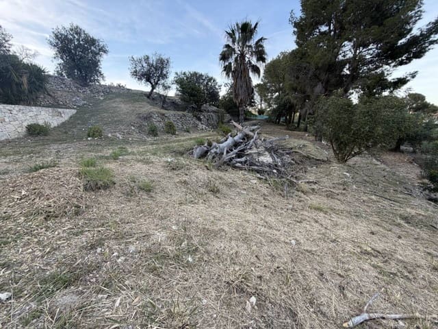 Solar/Parcela en L'Atzúvia en venta - 35.000 € (Ref: 3735532)