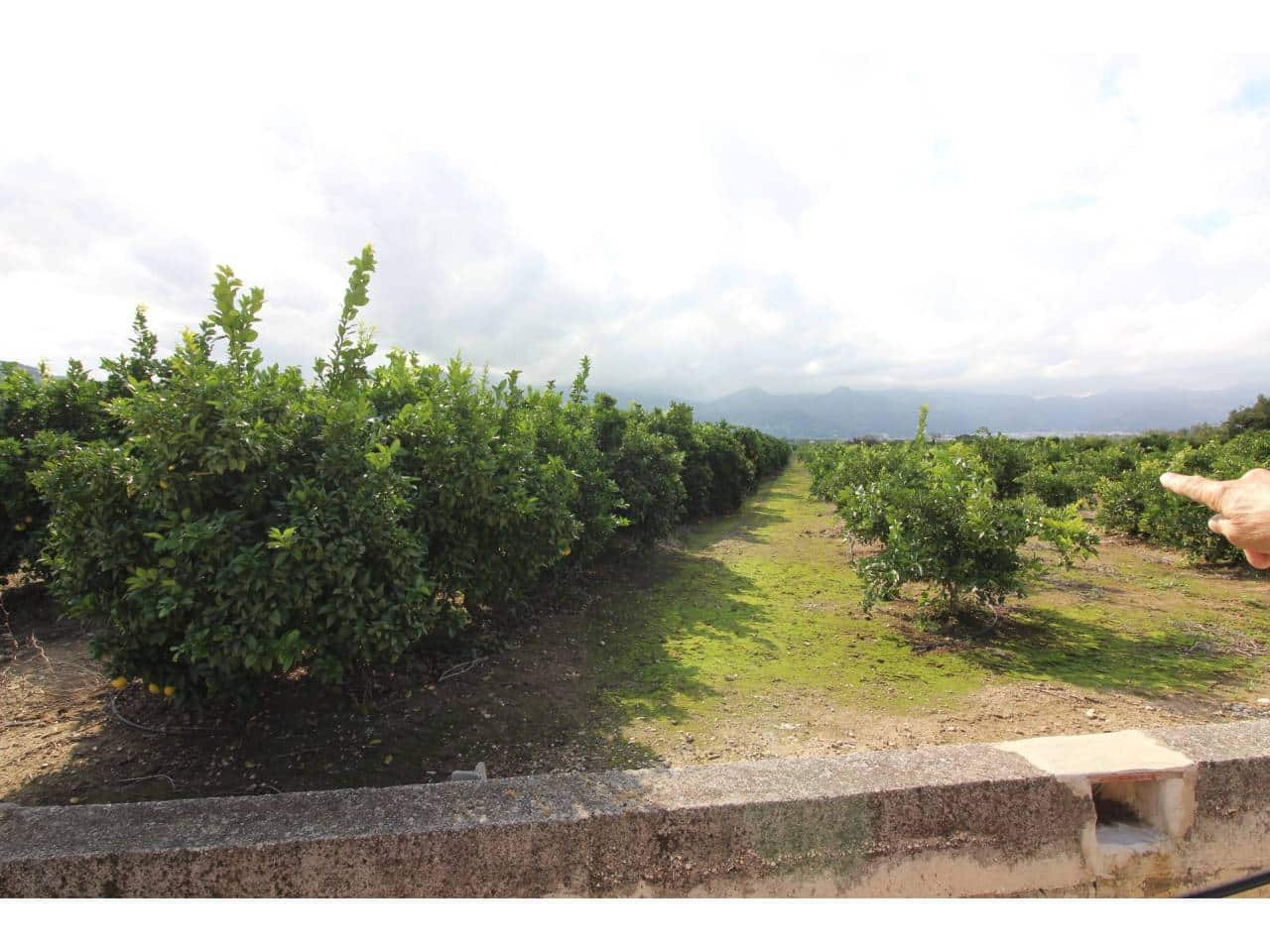 Terrain à Bâtir à vendre à Pego - 78 009 € (Ref: 3793920)