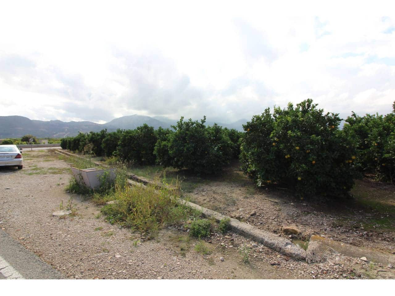 Terrain à Bâtir à vendre à Pego - 78 009 € (Ref: 3793920)