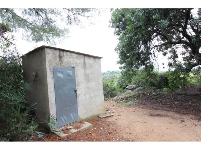 Byggetomt til salgs i Pego - € 78 009 (Ref: 3793920)