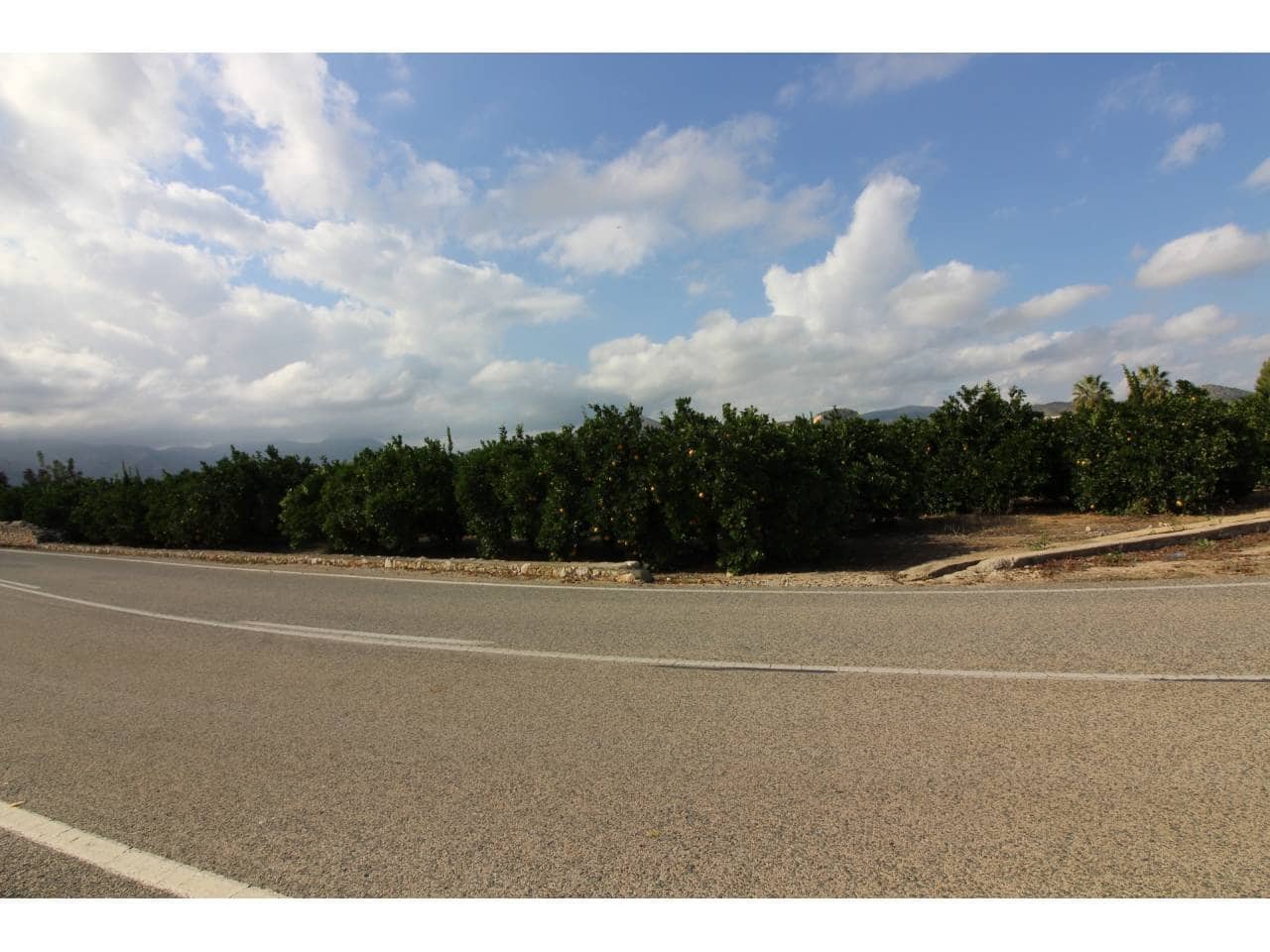 Terrain à Bâtir à vendre à Pego - 78 009 € (Ref: 3793920)