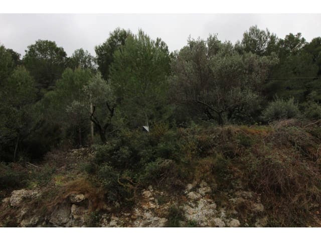 Byggetomt til salgs i Pego - € 78 009 (Ref: 3793920)