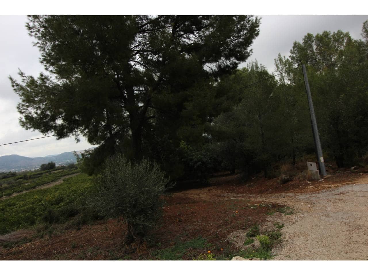 Terrain à Bâtir à vendre à Pego - 78 009 € (Ref: 3793920)