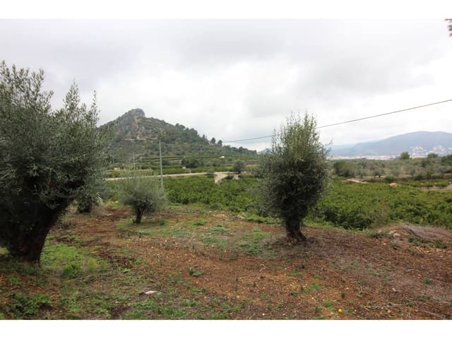 Byggetomt til salgs i Pego - € 78 009 (Ref: 3793920)