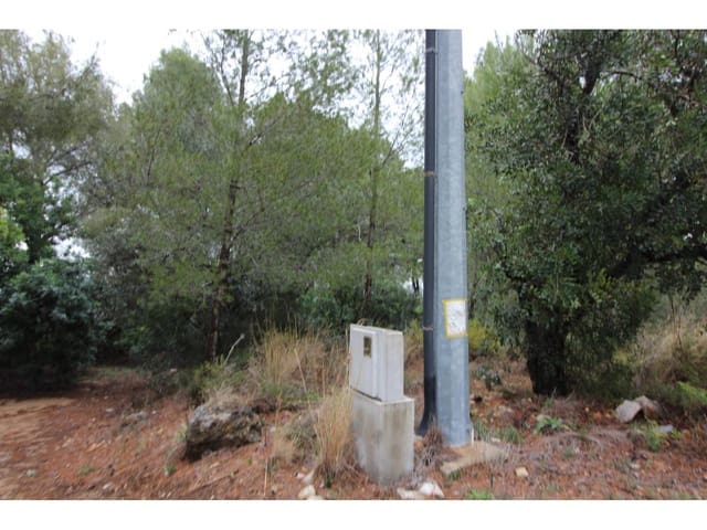 Byggetomt til salgs i Pego - € 78 009 (Ref: 3793920)