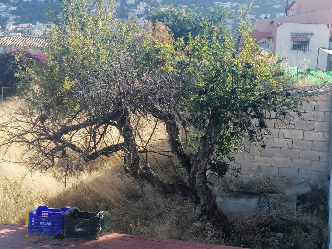 Byggetomt til salgs i Calpe / Calp - € 160 000 (Ref: 5774150)