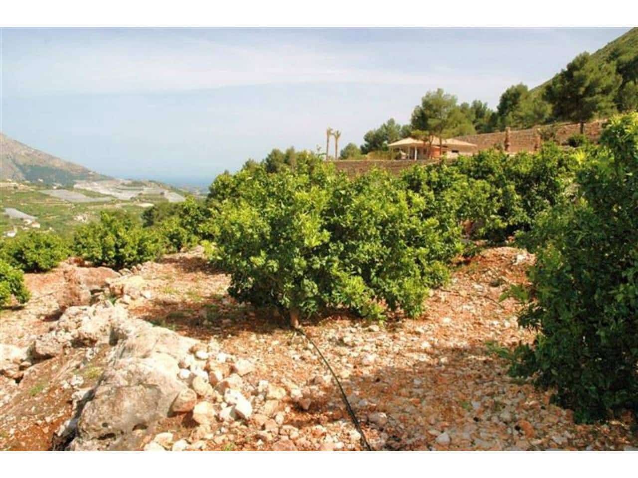 Mark till salu i Callosa d'En Sarria - 360 000 € (Ref: 5774234)