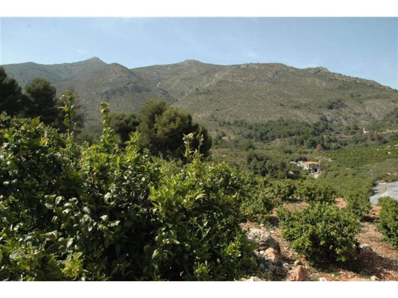 Mark till salu i Callosa d'En Sarria - 360 000 € (Ref: 5774234)