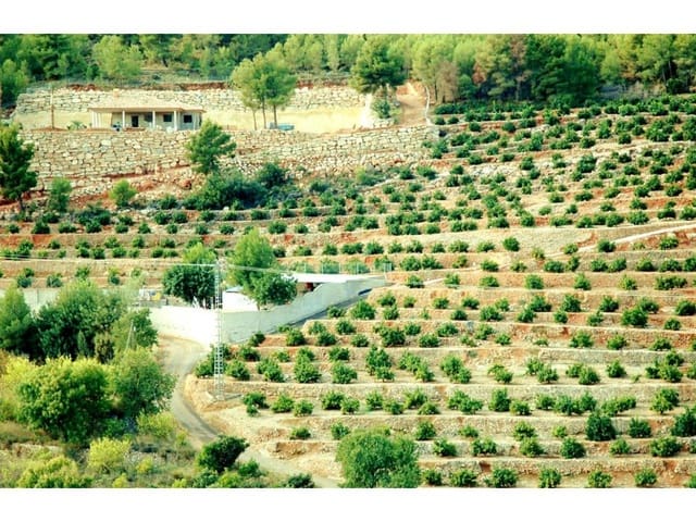 Mark till salu i Callosa d'En Sarrià - 360 000 € (Ref: 5774234)