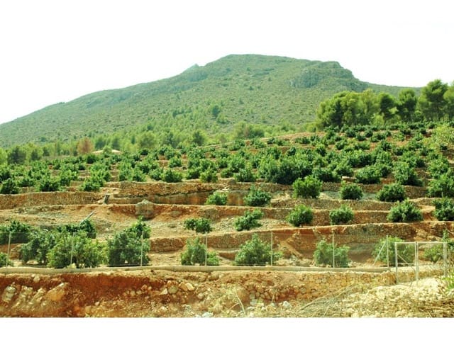 Mark till salu i Callosa d'En Sarrià - 360 000 € (Ref: 5774234)