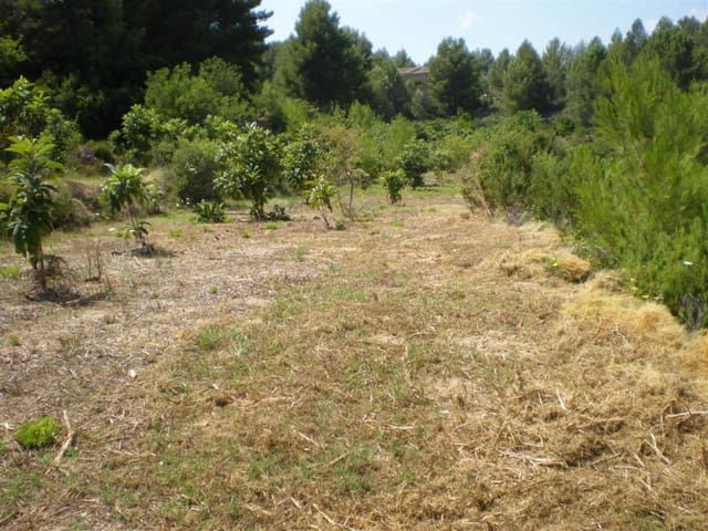 Undeveloped Land for sale in Guadalest - € 65,000 (Ref: 5774258)