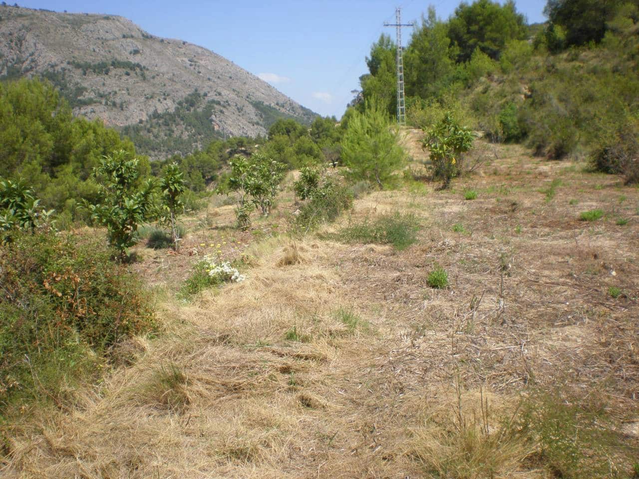 Grunde uden byggetilladelser til salg i Guadalest - € 65.000 (Ref: 5774258)