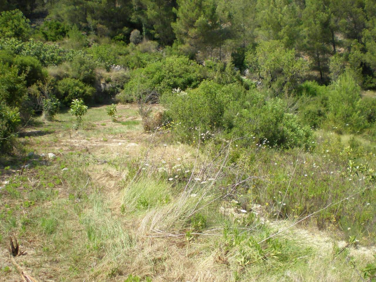 Grunde uden byggetilladelser til salg i Guadalest - € 65.000 (Ref: 5774258)