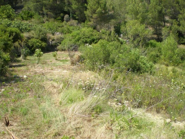 Undeveloped Land for sale in Guadalest - € 65,000 (Ref: 5774258)
