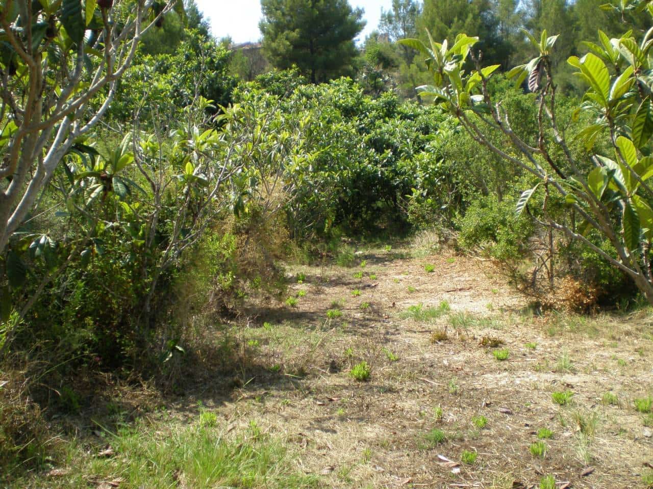 Grunde uden byggetilladelser til salg i Guadalest - € 65.000 (Ref: 5774258)