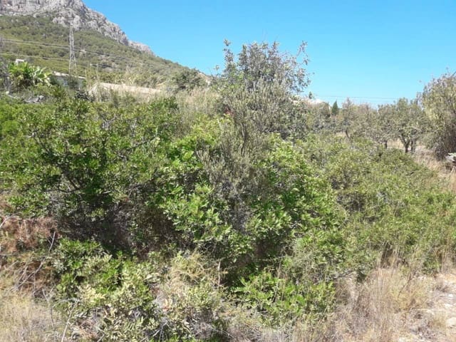 Solar/Parcela en Oltamar - Cucarres, Calpe / Calp en venta - 300.000 € (Ref: 5774282)
