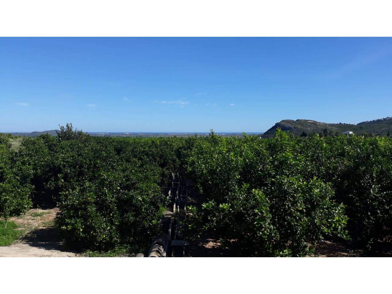 Solar/Parcela en Pego en venta - 120.000 € (Ref: 5774285)