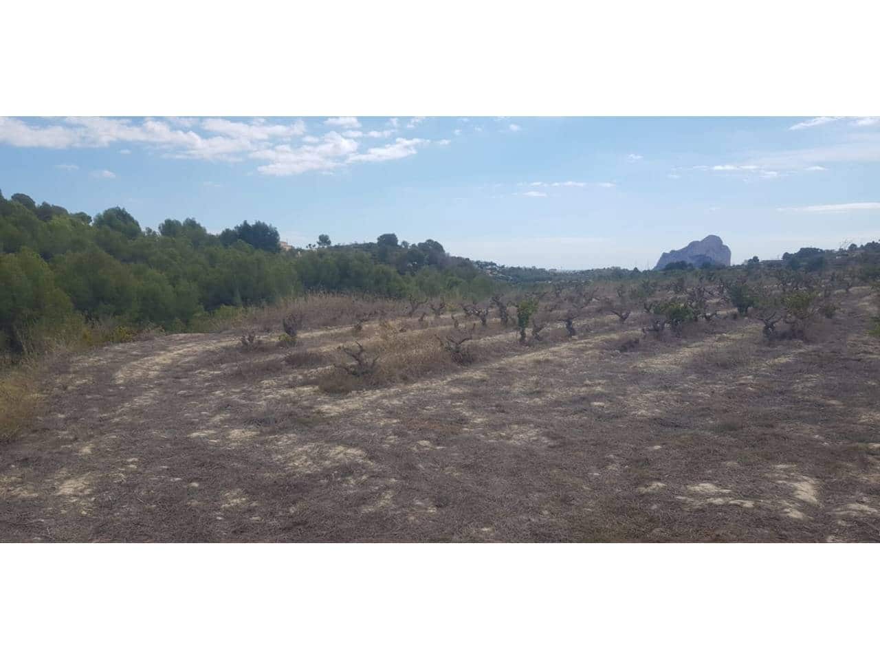 Terrain à Bâtir à vendre à Calpe / Calp - 320 000 € (Ref: 5774357)
