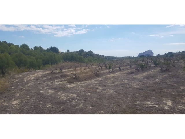 Terreno para Construção para venda em Cometa - Carrió, Calpe / Calp - 320 000 € (Ref: 5774357)