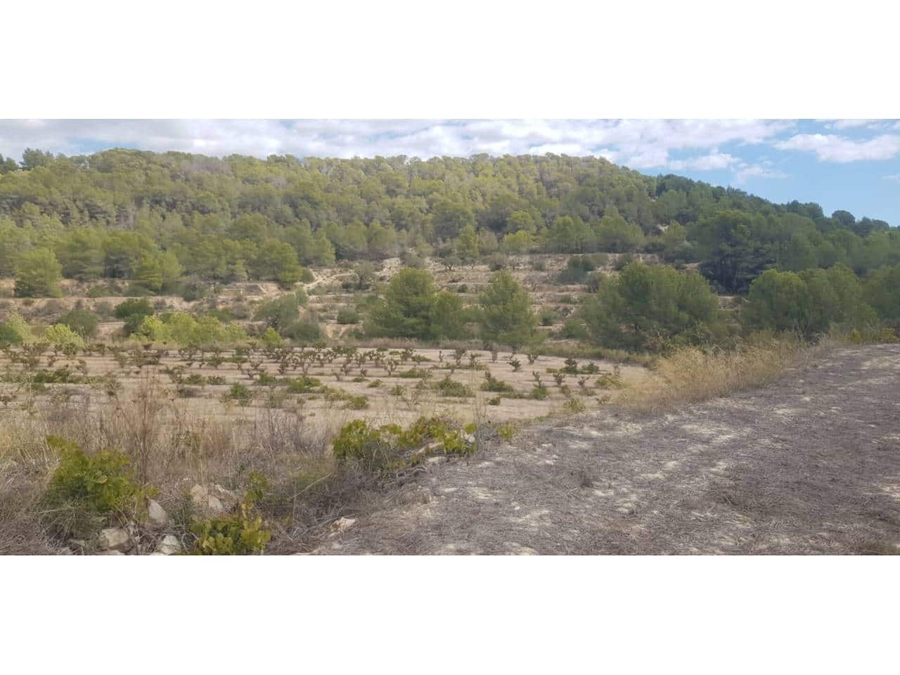 Terrain à Bâtir à vendre à Calpe / Calp - 320 000 € (Ref: 5774357)