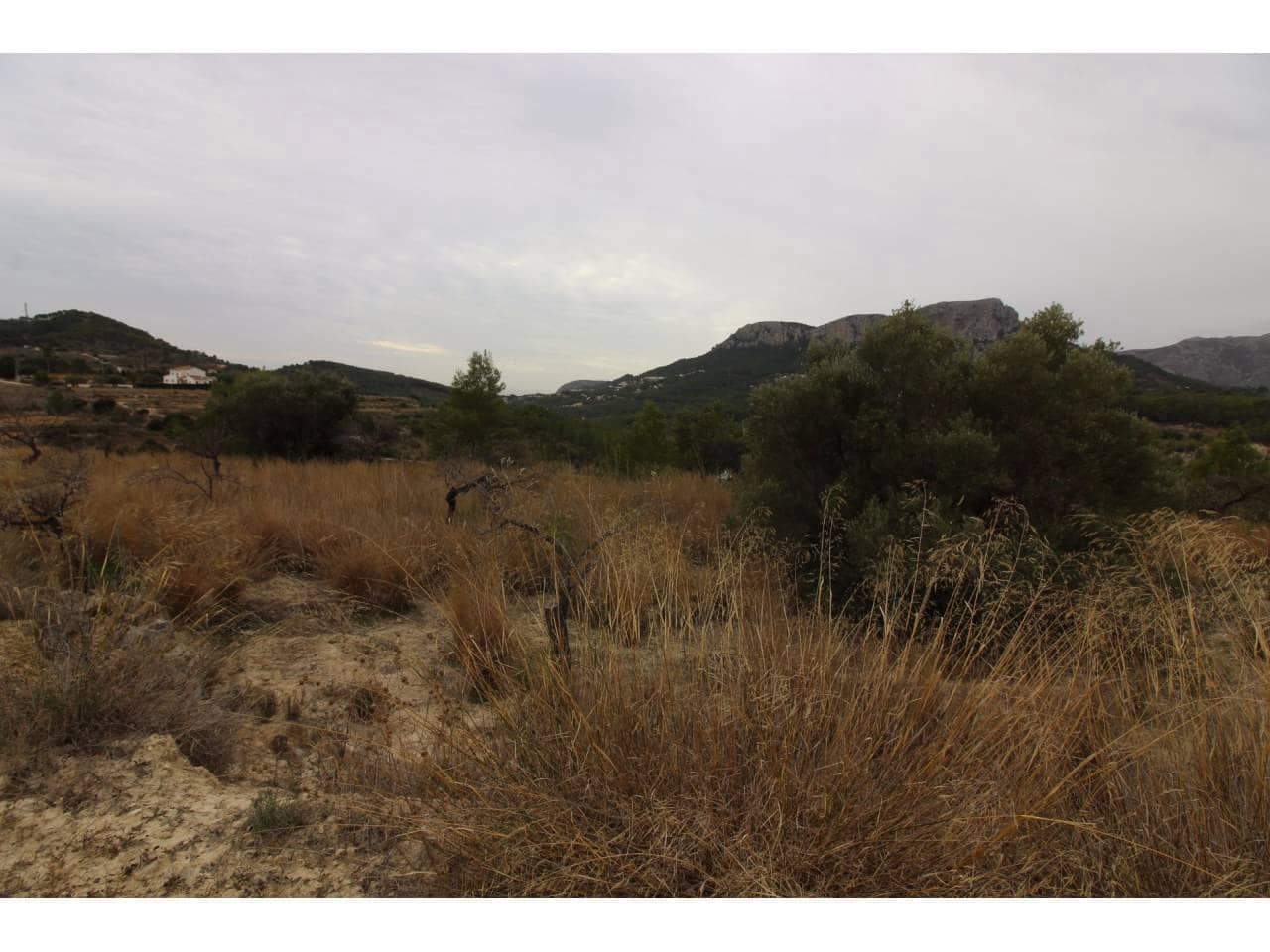 Terreno Não Urbanizado para venda em Benissa - 130 000 € (Ref: 5775523)