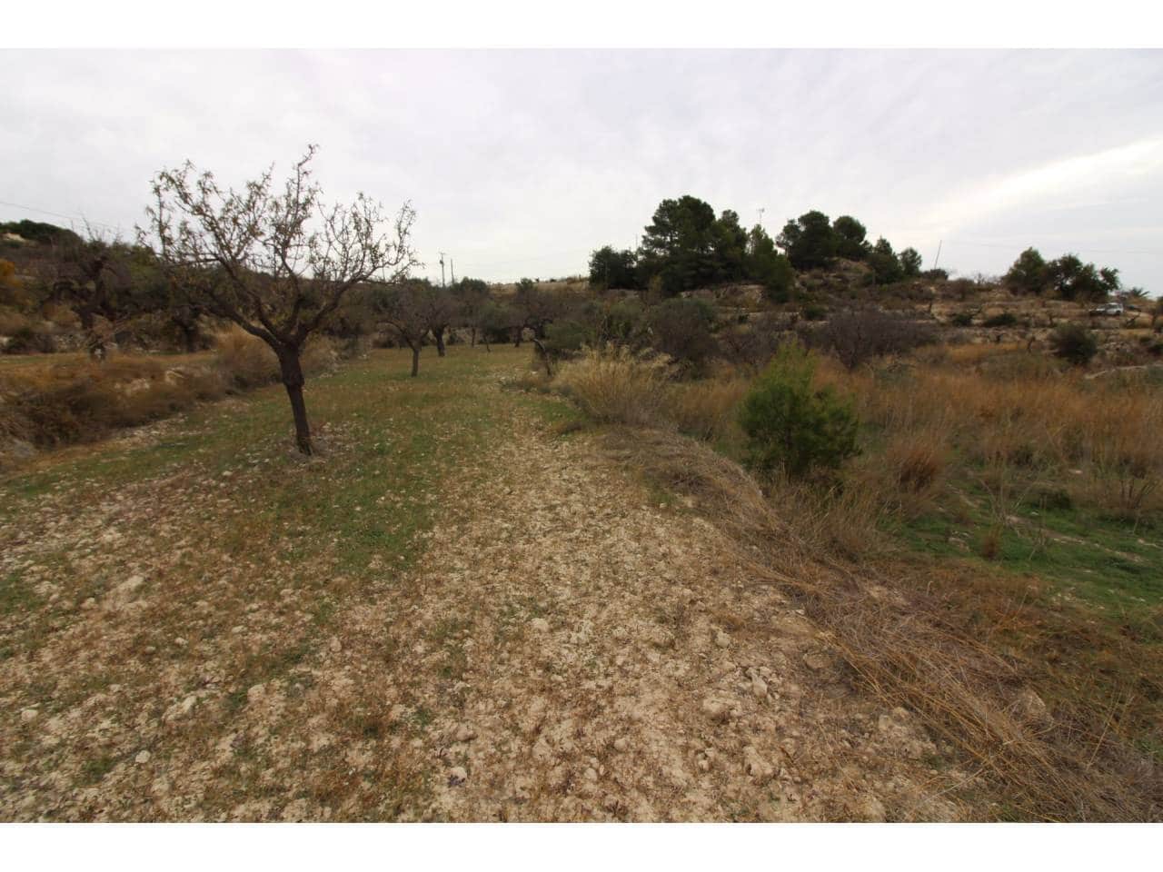 Terreno Não Urbanizado para venda em Benissa - 130 000 € (Ref: 5775523)