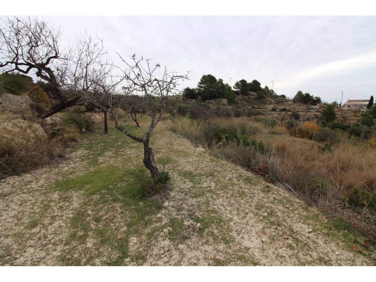 Terreno Não Urbanizado para venda em Benissa - 130 000 € (Ref: 5775523)