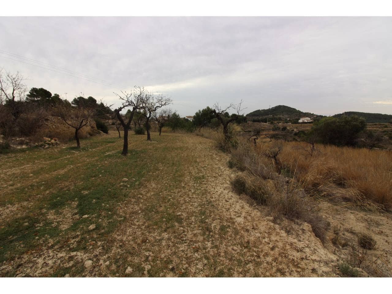 Terreno Não Urbanizado para venda em Benissa - 130 000 € (Ref: 5775523)