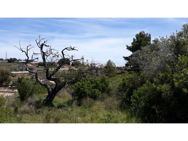 Terrain à Bâtir à vendre à Benissa - 238 000 € (Ref: 5775541)