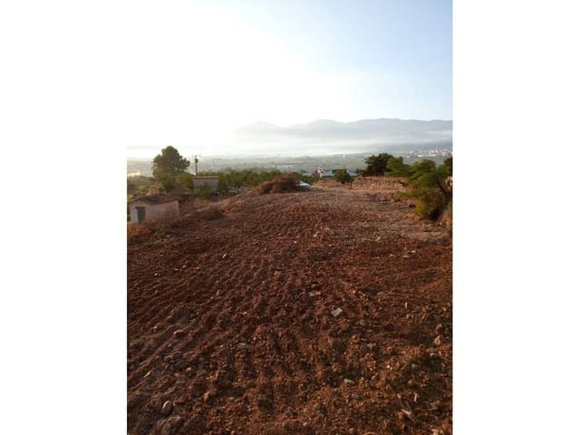 Terreno Non Edificato in vendita in Pego - 669.000 € (Rif: 5853862)