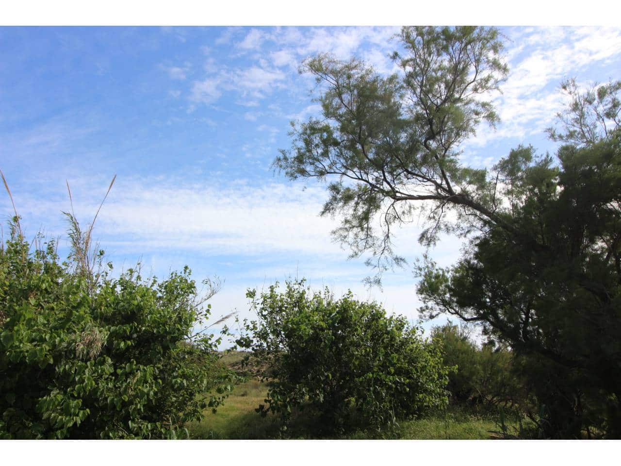 Bouwgrond te koop in Oliva - € 3.000.000 (Ref: 6490433)