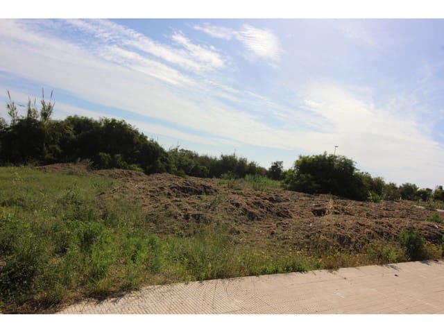 Building Plot for sale in Oliva - € 3,000,000 (Ref: 6490433)